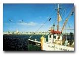 Provincetown Fishing Boat