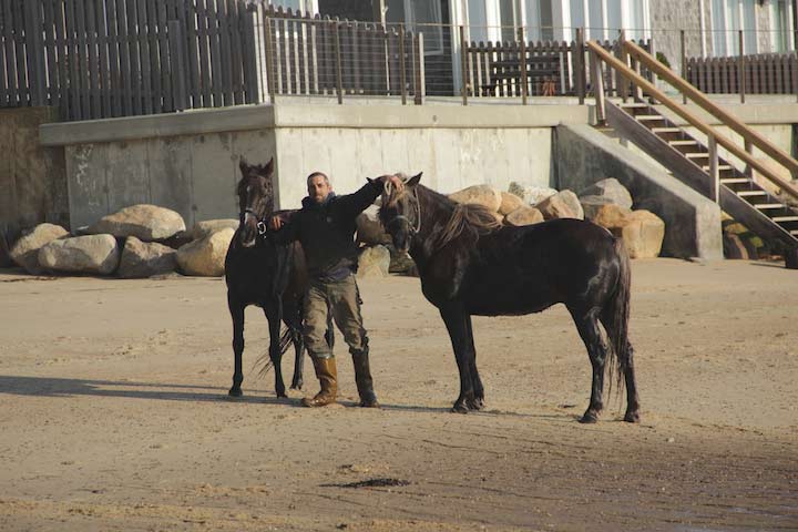 Horses on the East End Beach
