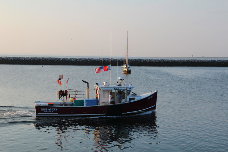 July 17, 2012 Provincetown Harbor, MacMillan Pier: Going Fishing