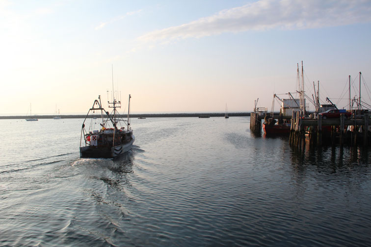 July 17, 2012 Provincetown Harbor, MacMillan Pier: Going Fishing