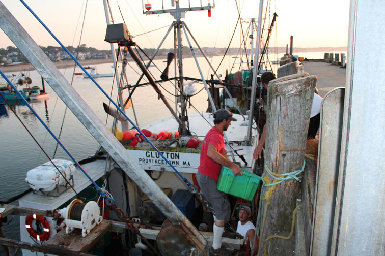 July 17, 2012 Provincetown Harbor, MacMillan Pier: Going Fishing