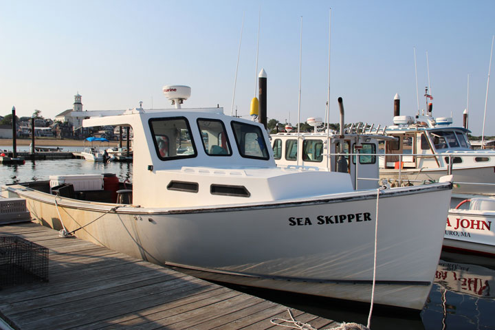 Sea Skipper