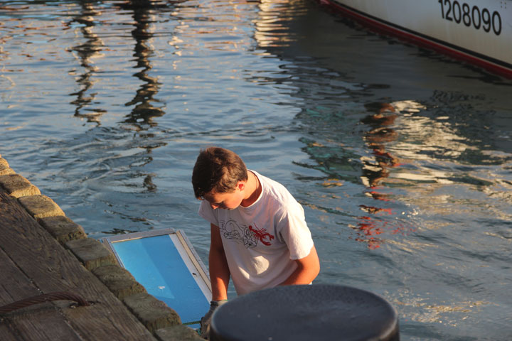 Provincetown Harbor, August 25, 2012 sunrise... My boy... Jack