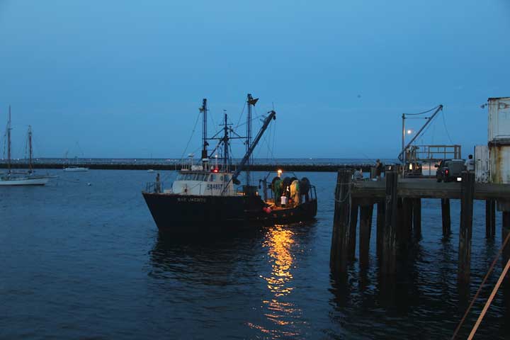 Fishing boat coming to port...