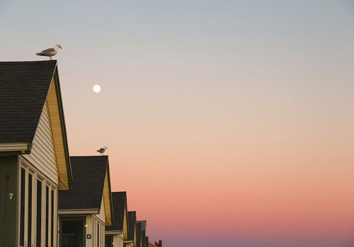 Beach Point, Days Cottages, North Truro