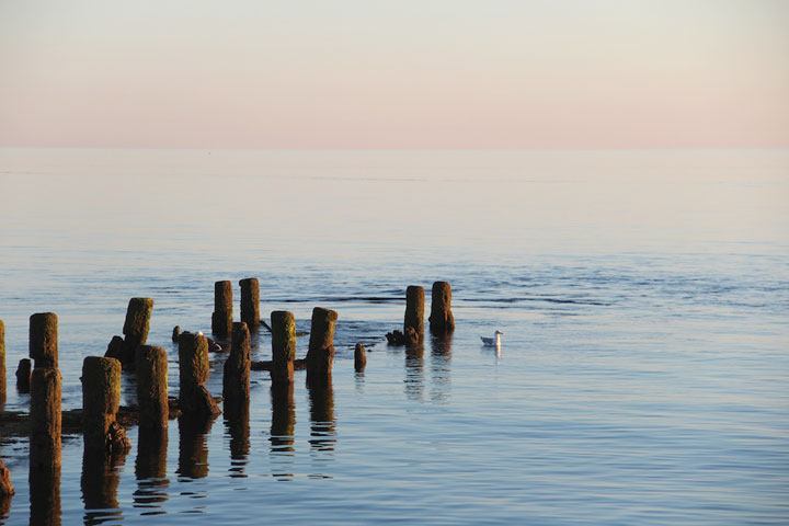 Beach Point, Days Cottages, North Truro