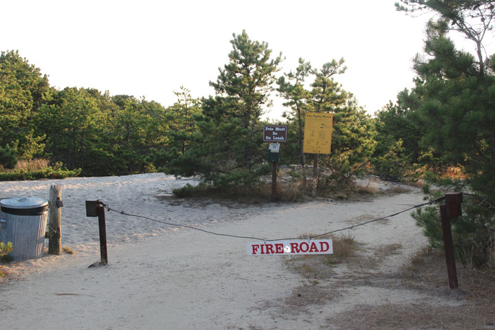 Fire road between Hatches Harbor and Provincetown Airport