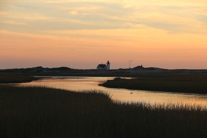 Fire road between Hatches Harbor and Provincetown Airport