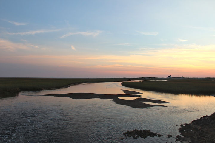 Fire road between Hatches Harbor and Provincetown Airport