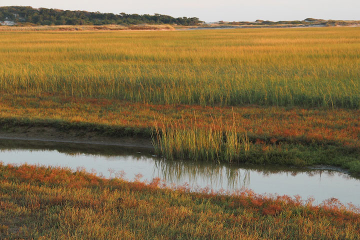 Fire road between Hatches Harbor and Provincetown Airport