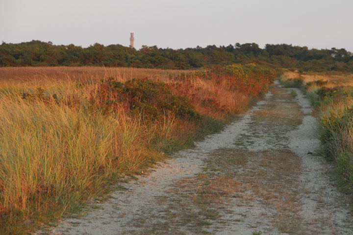 Fire road between Hatches Harbor and Provincetown Airport