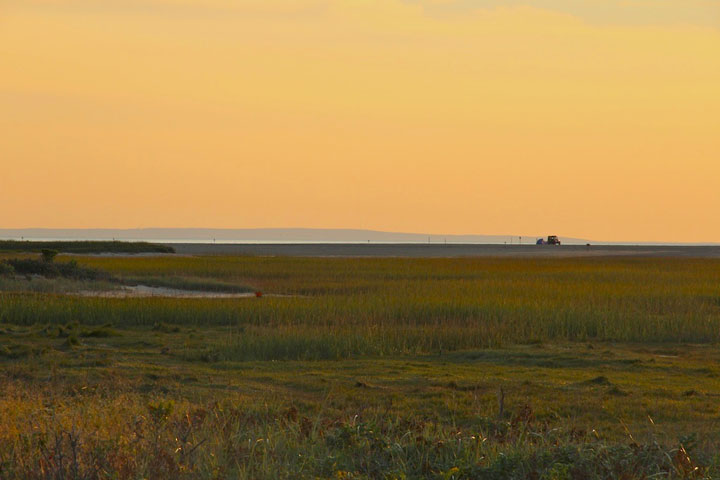 Fire road between Hatches Harbor and Provincetown Airport