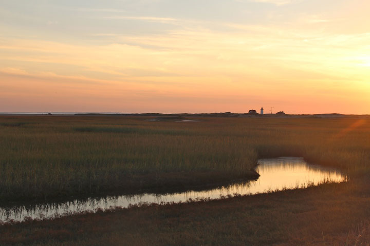 Fire road between Hatches Harbor and Provincetown Airport