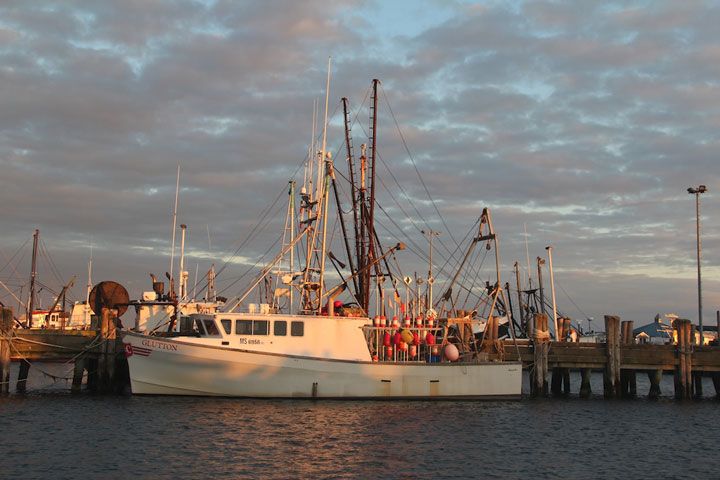 Provncetown Harbor, MacMillan Pier