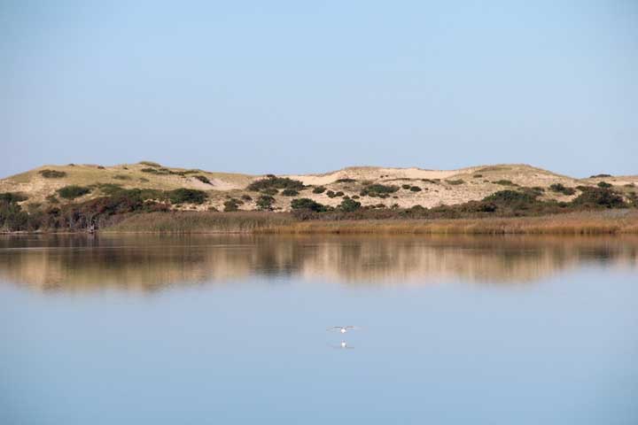 Photograph by Ewa Nogiec, Cape Cod National Seashore Park, North Truro, dunes and Pilgrim Lake