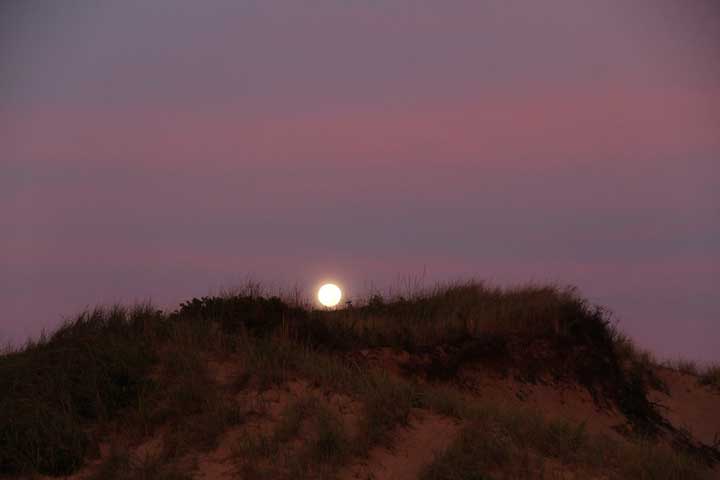 Photograph by Ewa Nogiec, Moon over dunes, North Truro, Cape Cod