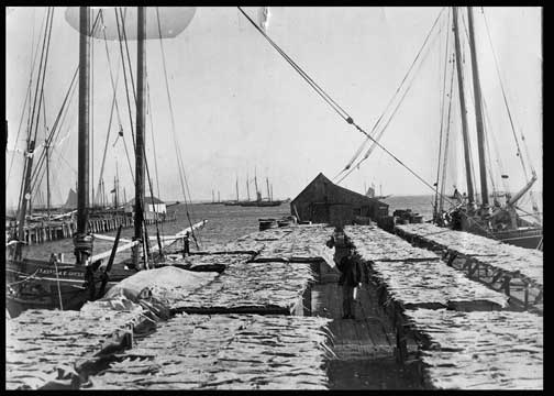 Provincetown History, Drying Fish