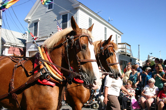 Provincetown Carnival