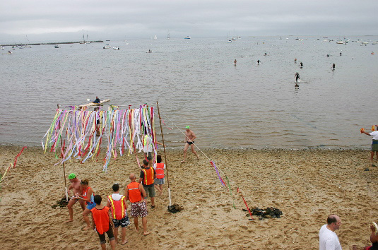 Provincetown Events Swim for Life