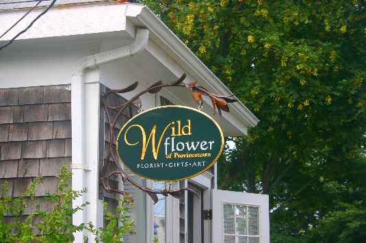 Wildflower of Provincetown