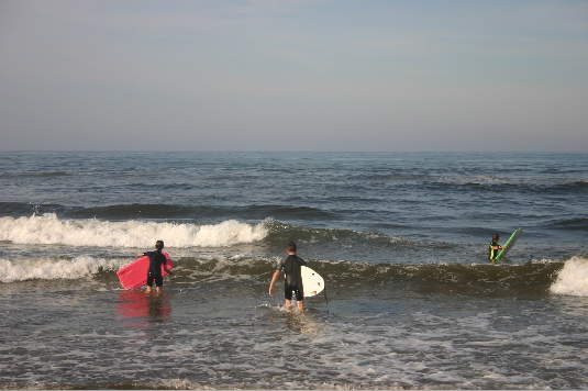 surfing