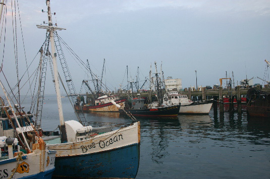 Provincetown Harbor, Fishing Boats