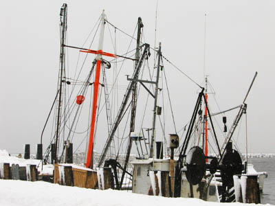 Winter, Provincetown Harbor, fishing boats